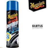Meguiars Hotshine REFLECT Tire Shine 425gr, Hot Shine, Pengkilap Ban - Coating Mobil Jakarta Barat